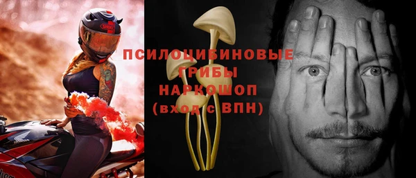 шишки Верея