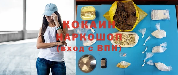 шишки Верея