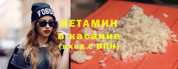 шишки Верея