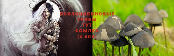 амф Верхний Тагил