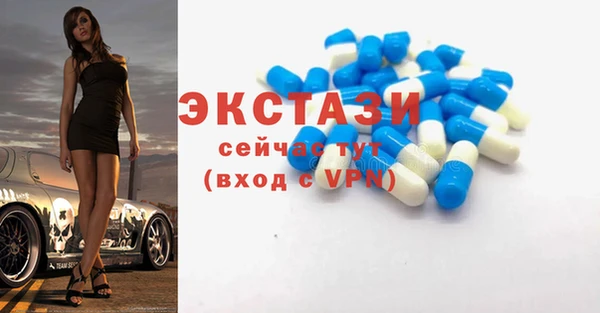 шишки Верея