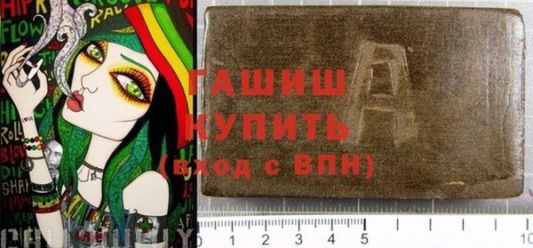 шишки Верея