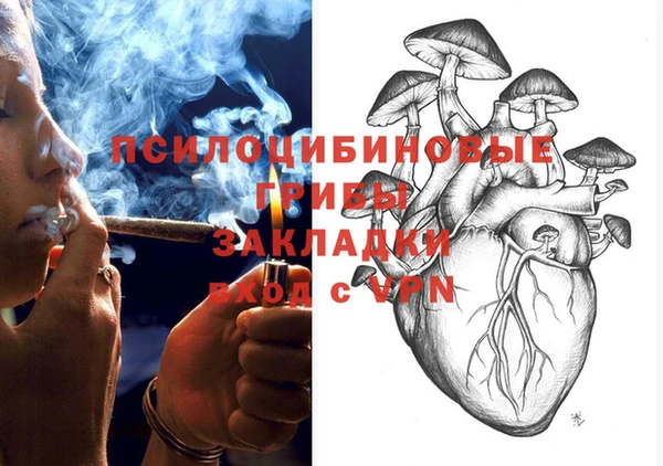 шишки Верхнеуральск