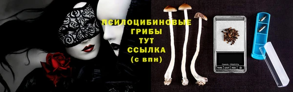 гидропоника Богданович