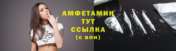 амф Верхний Тагил