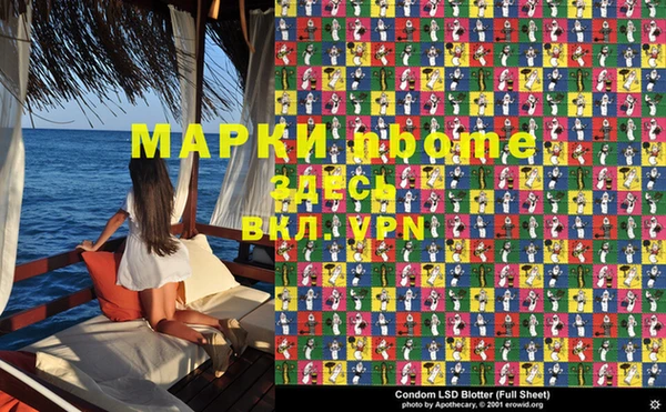 шишки Верея