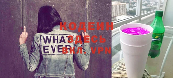 шишки Верея