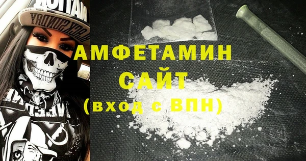 шишки Верея