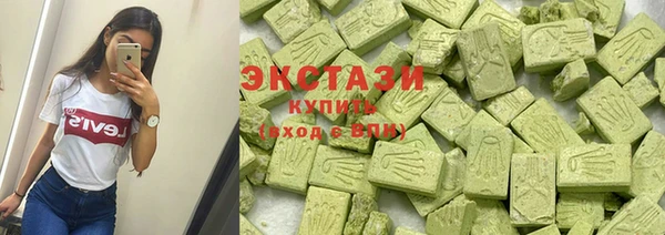 амф Верхний Тагил