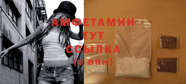 амф Верхний Тагил