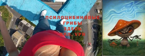 шишки Верея