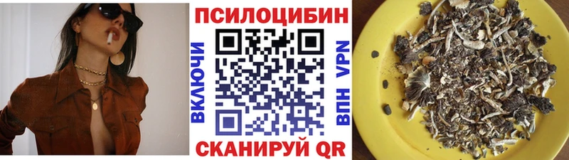 Псилоцибиновые грибы Cubensis  блэк спрут как зайти  Исилькуль  хочу наркоту 